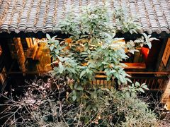 -鱼桥巷·美学川菜