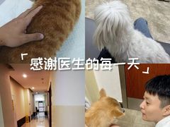 -美联众合动物医院·24h转诊中心