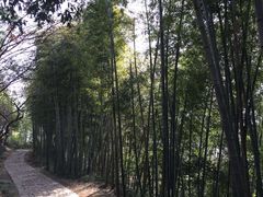 -径山寺