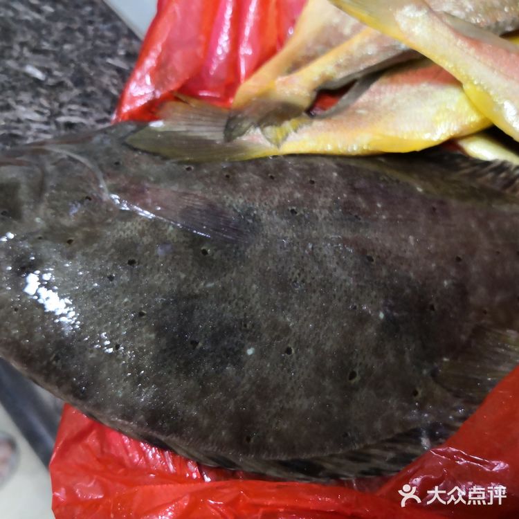 金厢赶海记
