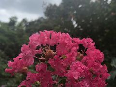 -晓港公园