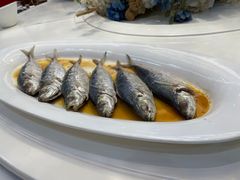 -大梅沙海鲜汇(岳麓店)