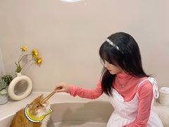 -More Fun猫咖 二十只万元加菲主题