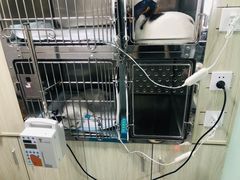 -半岛宠物医院24小时(科华中路店)