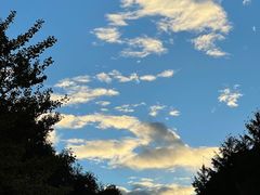 -洛阳白云山景区