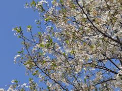 -长沙市青少年宫