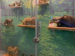 -下渚湖国家湿地公园科普馆