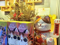 -梵猫·新养生(湛江鼎盛店)