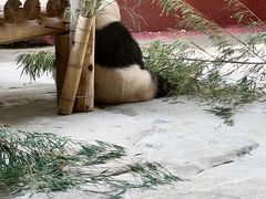 -杭州野生动物世界