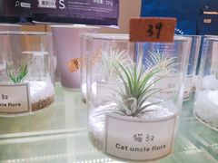 -XI·LaundryCafe 喜咖自助洗衣咖啡店