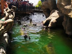 -华夏文旅海洋公园