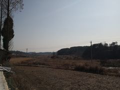 -素山寺森林公园