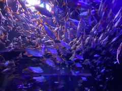 -成都浩海立方海洋公园