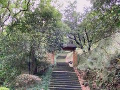 -宁波市保国寺古建筑博物馆