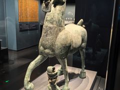 -广西壮族自治区博物馆