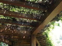 -徐家汇源景区-衡山公园