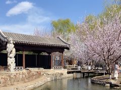 -春风习习