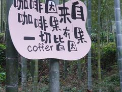 -山沟沟景区