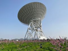 -上海佘山国家森林公园天马山园