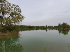 -金塔沙漠胡杨林景区