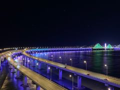 -星海湾跨海大桥