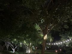 -杭州西子湖四季酒店-WL BISTRO西湖餐厅(灵隐路店)