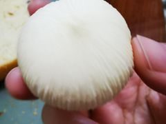 -梧州双钱龟苓膏(老街店)