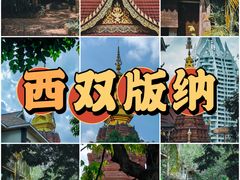 -告庄西双景