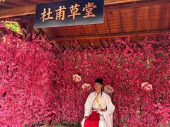 -北京凤凰岭