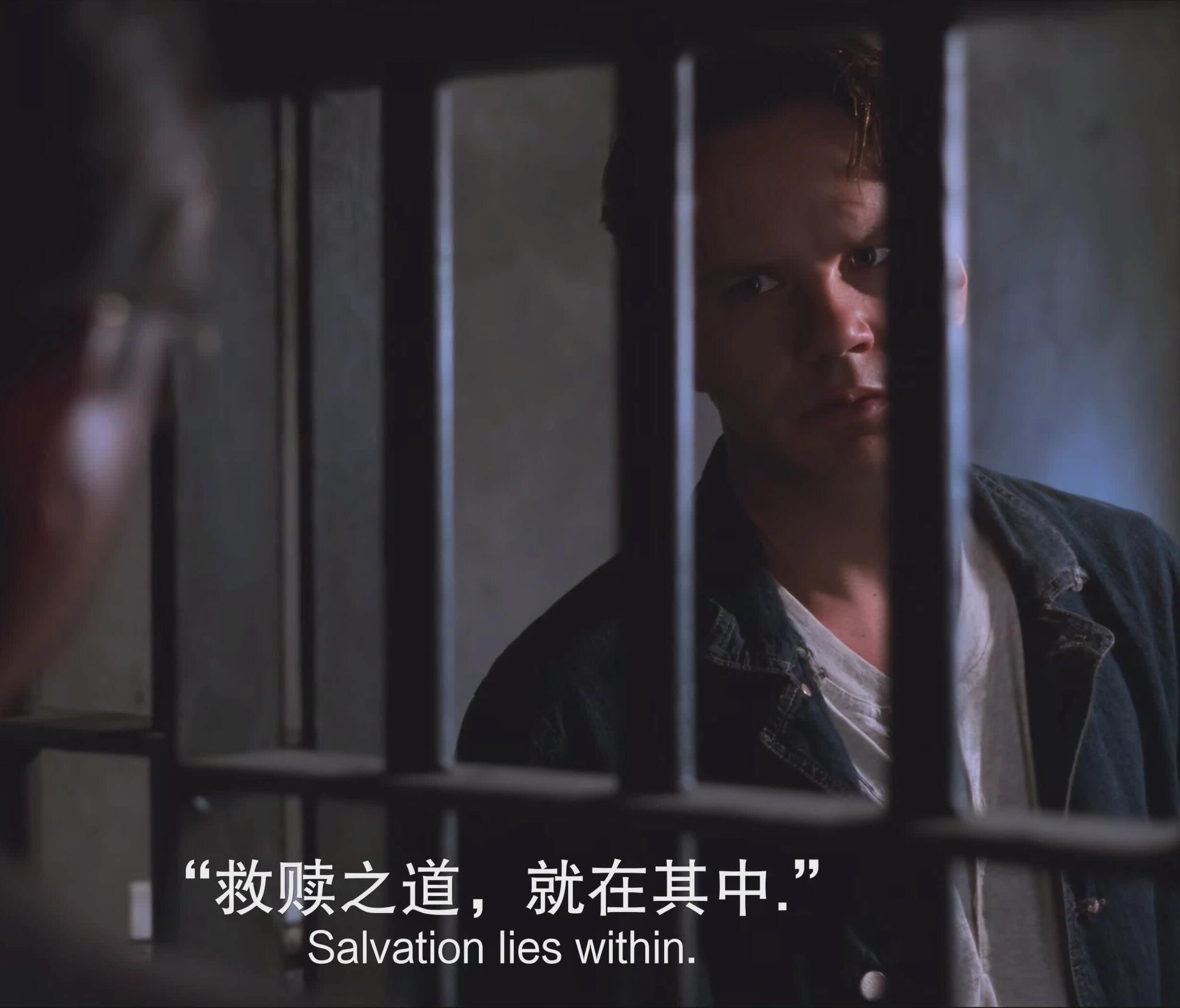 一品楼YPL论坛官网：新手必看的全面观影与阅读指南