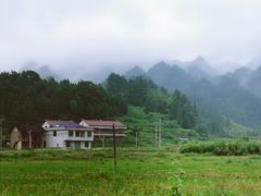-紫鹊界梯田景区