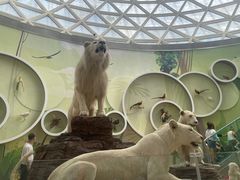 -陕西自然博物馆