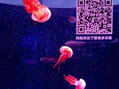 -欢乐海岸海洋奇梦馆