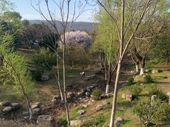 -钟山体育运动公园