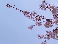 -南浦大桥长途旅游客运站