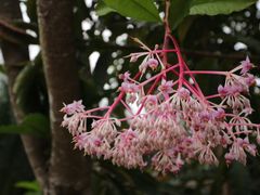 -华南国家植物园-售票处