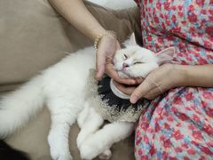 -怪兽屋·羊驼·猫咖·狗咖(俊华广场店)