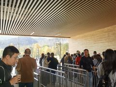 -千年银杏谷文化旅游区