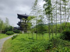 -大唐贡茶院