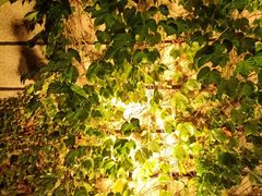 -虞山城墙