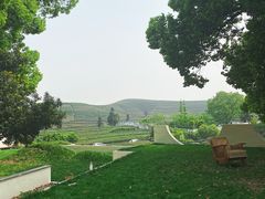 -龙坞茶村