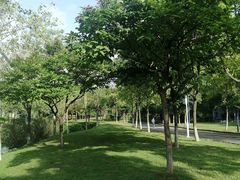 -华南师范大学(广州大学城校区)