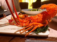 -采悦轩中餐厅·粤菜·海南菜(神州半岛喜来登度假酒店)