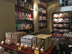 -猫咪博物馆(顶澳仔猫街店)