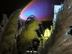 -ohbar live house(人广店)