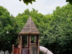 -唐城墙遗址公园