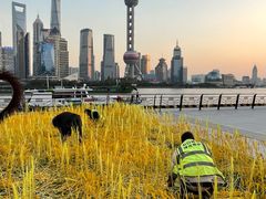 -北外滩滨江绿地