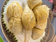 -都念榴莲·城市榴莲