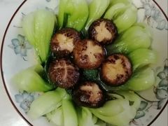 -贝贝乐自营月嫂育儿嫂中心