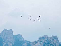 -崂山仰口游览区
